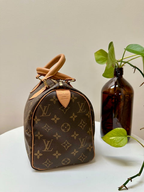 Louis Vuitton Speedy 25 monogram