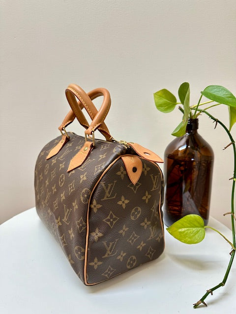 Louis Vuitton Speedy 25 monogram