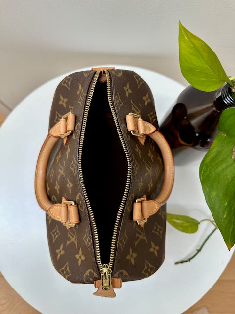 Louis Vuitton Speedy 25 monogram