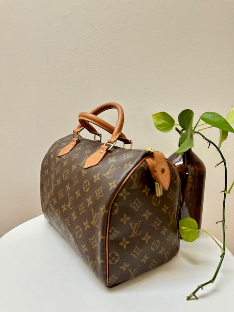 Louis Vuitton Speedy 30 Monogram