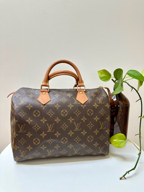 Louis Vuitton Speedy 30 Monogram