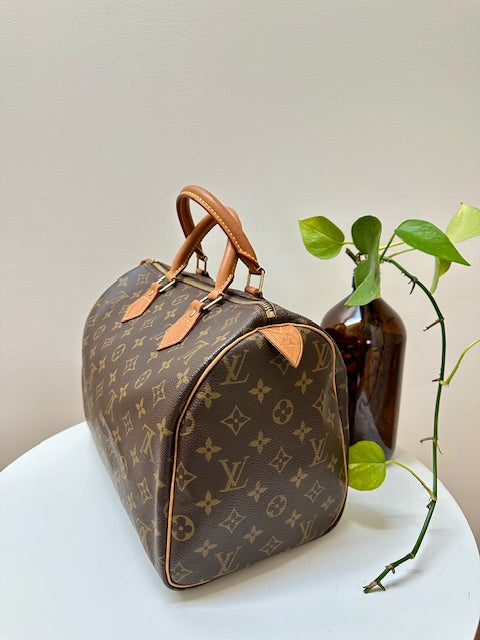 Louis Vuitton Speedy 30 Monogram