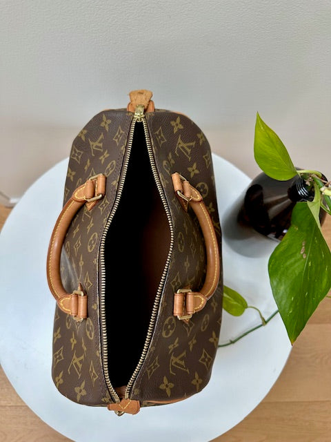 Louis Vuitton Speedy 30 Monogram